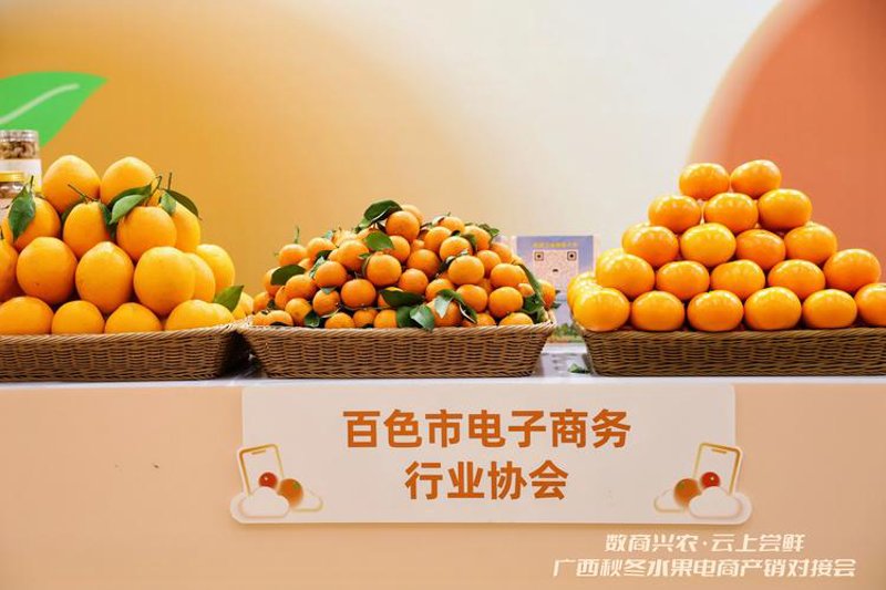 电商行业风向标：淘宝天猫运营策略的最新变化