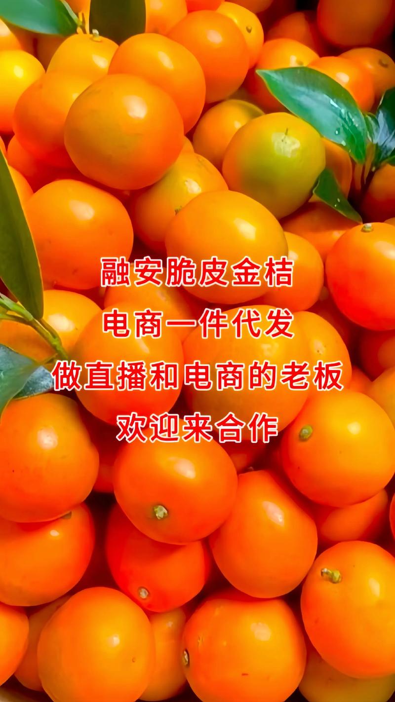 电商代运营：助力南宁本地企业跨越发展